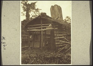 Isango house in Ekombe Bonje, on the way to Koto Barombi. The drums are always left in the house when the dances have finished and no-one touches them (1926)