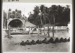 Tempel der Maari i. Mangalur mit den Köpfen von 13 geopferten Büffelochsen