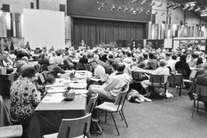 Annual Meeting Viborg 1985