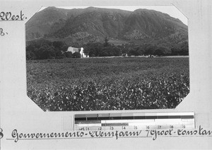 The wine farm "Groot Constantia", near Cape Town, South Africa