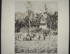 School in Gudde. School building in a grove of palm trees. Udapi