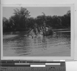 Boys swimming at Zhongxin, China, 1937