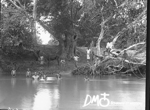 African boys bathing in the Incomáti, Antioka, Mozambique, ca. 1896-1911