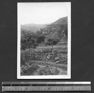 Horticultural gardens at Fukien Christian University, Fuzhou, Fujian, China, ca.1946