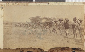 Carriers on the march, Dodoma, Tanzania, July-November 1917