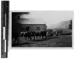 Transport of a sick woman, South Africa East, 1930