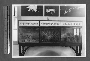 Climate display, Jinan, Shandong, China, 1947