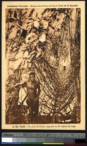 Suspension bridge over the river, Cameroon, ca. 1920-1940