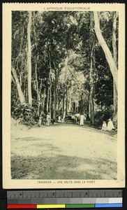 Travelling through the forest, Tanzania, ca.1920-1940