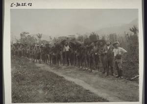 En route from Bali to Nyasoso. The missionaries Stahl, Gutekunst and Spellenberg