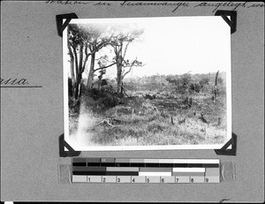 View of the real estate for a new mission station in Inamwanga, Nyasa, Tanzania, 1936