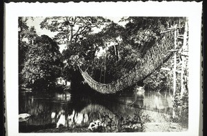 Hängebrücke im Bamumland