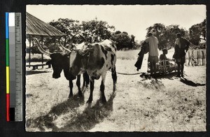 Rustic ambulance, Zambia, ca.1954-1964