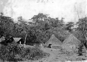 Homestead of the former chief Msina of Uru, Tanzania, ca.1900-1914