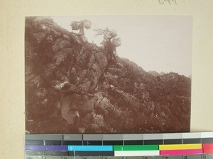 Carriers walking down a very steep mountain slope in the Ambatomenaloha mountains, Madagascar, 1901