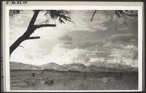 Grasland - Landschaft, College i. Vordergrund