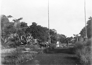 Africans and a mule at the wayside, Tanzania, ca.1893-1920