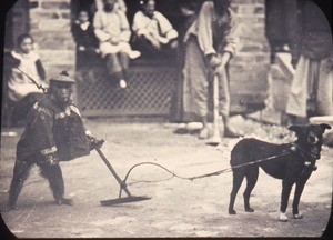 A monkey show, Changde, Hunan, China, ca.1900-1919