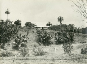 Mission house in Lambarene, Gabon