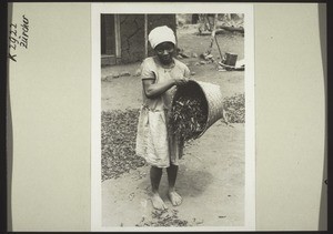 Evangelist's wife drying locusts