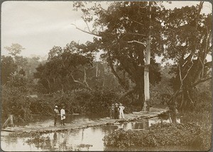 Bridge over the Densu, Nsawom