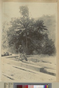 Cutting planks, Livingstonia, Malawi, ca.1903