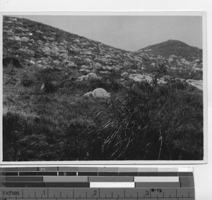 A landscape of graves at leprosarium at Xinhui, China