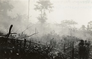 Smoke in the forest, in Gabon