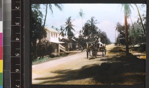 Country road, Guyana, ca. 1934