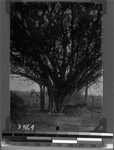 Ghost hut, Unyamwezi, Tanzania