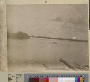 Hippos on the Shire River, Malawi, ca.1900