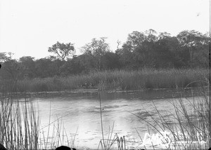 Lake Mandlene, Makulane, Mozambique, ca. 1896-1911