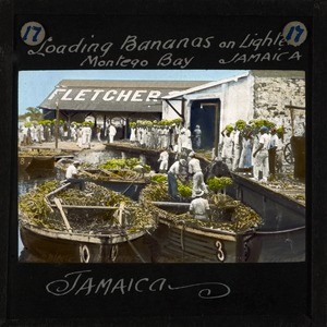 "Loading Bananas on Lighters, Montego Bay, Jamaica" early 20th century