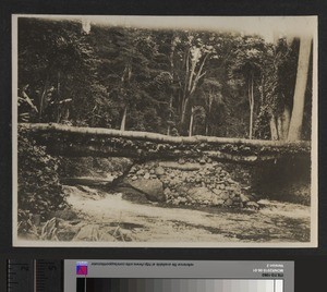 Thuchi River, Kenya, September 1926