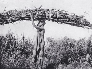 Woman carrying firewood in Bamum