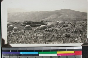 View of a kraal, South Africa, (s.d.)