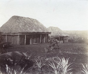 Bamun village, in Cameroon