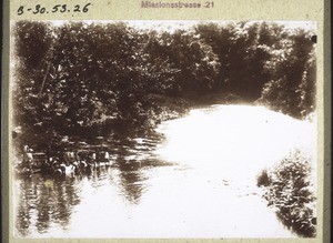 Das Abziehen des Ochsen beim Totenfest