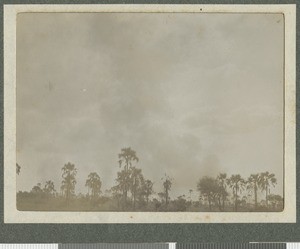 Landscape , Tanzania, July 1917