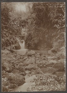 Himo gorge, Kilimanjaro, Tanzania