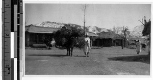 Transporting firewood, Gishu, Korea, ca. 1920-1940