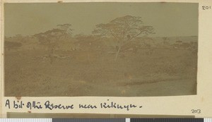 Reserve, Kikuyu, Kenya, 1918