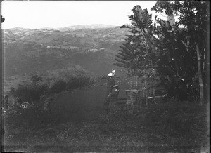 Landscape near Lemana, Limpopo, South Africa, ca. 1906-1907