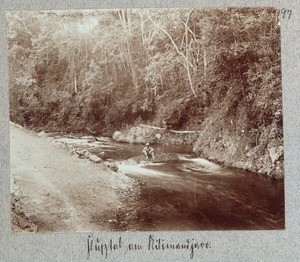 River valley at Kilimanjaro, Tanzania