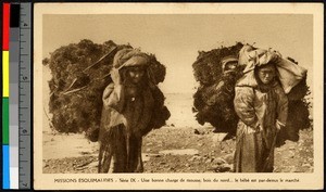 Two girls bearing bundles of moss on tumplines, Canada, ca.1920-1940