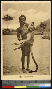 Hunting trophy, Congo, ca.1829-1940