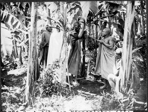 Instruction of men amongst the Chaga, Tanzania, ca.1913-1938