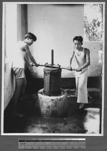 Extracting oil from silkworm pupae, Guangzhou, Guangdong, China, 1931