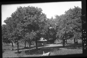 Chopi village, Mozambique, ca. 1933-1939