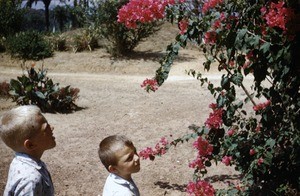 Arne and Olav Heggheim at the Bankim mission, Adamaoua, Cameroon, 1955-1968